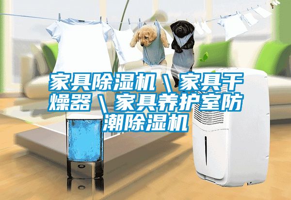 家具除湿机＼家具干燥器＼家具养护室防潮除湿机