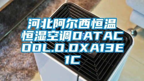 河北阿尔西恒温恒湿空调DATACOOL.O.DXA13E1C