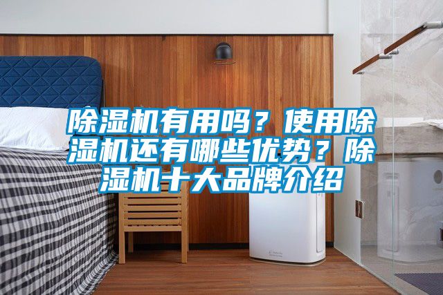 除湿机有用吗？使用除湿机还有哪些优势？除湿机十大品牌介绍