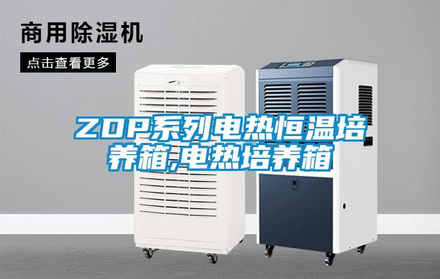 ZDP系列电热恒温培养箱,电热培养箱