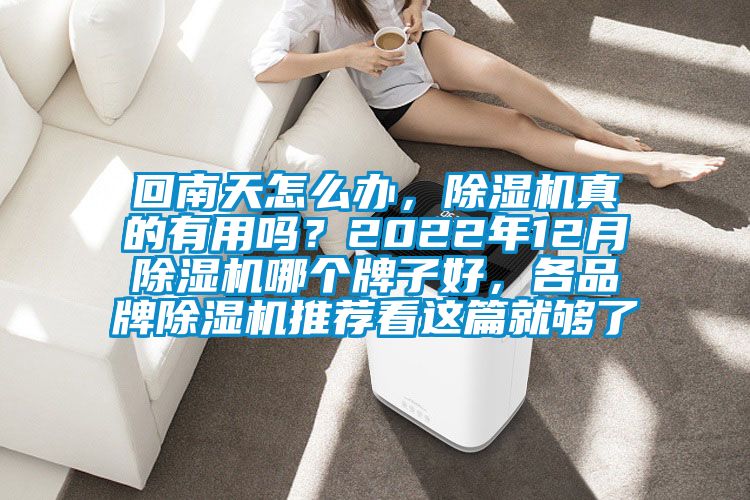 回南天怎么办，除湿机真的有用吗？2022年12月除湿机哪个牌子好，各品牌除湿机推荐看这篇就够了