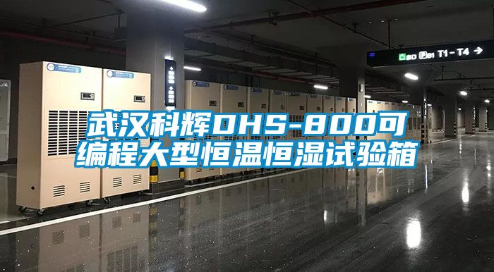 武汉科辉DHS-800可编程大型恒温恒湿试验箱