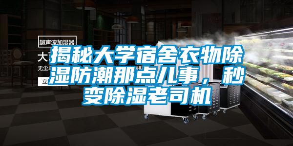 揭秘大学宿舍衣物除湿防潮那点儿事，秒变除湿老司机