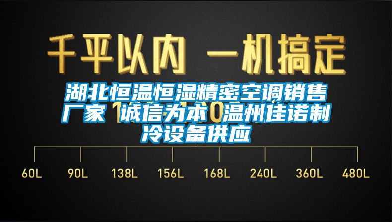 湖北恒温恒湿精密空调销售厂家 诚信为本 温州佳诺制冷设备供应