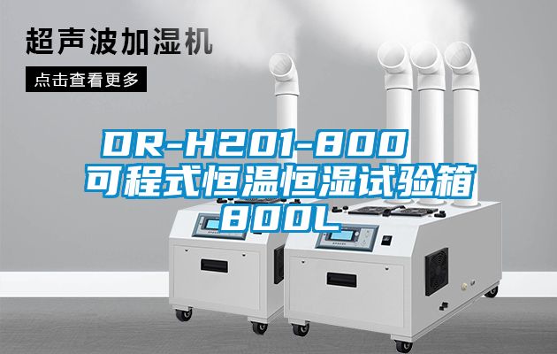 DR-H201-800  可程式恒温恒湿试验箱800L