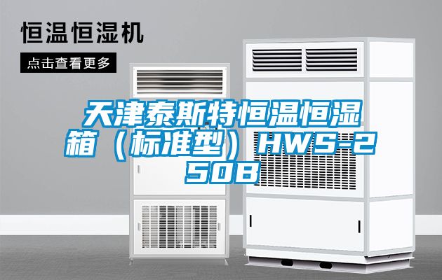 天津泰斯特恒温恒湿箱（标准型）HWS-250B