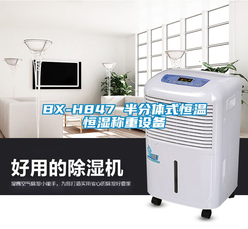 BX-H847 半分体式恒温恒湿称重设备