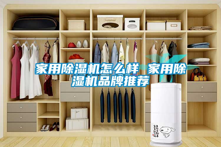 家用除湿机怎么样 家用除湿机品牌推荐