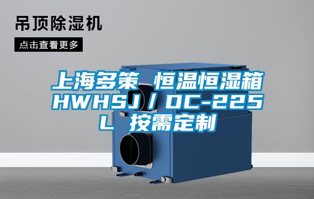 上海多策 恒温恒湿箱HWHSJ／DC-225L 按需定制