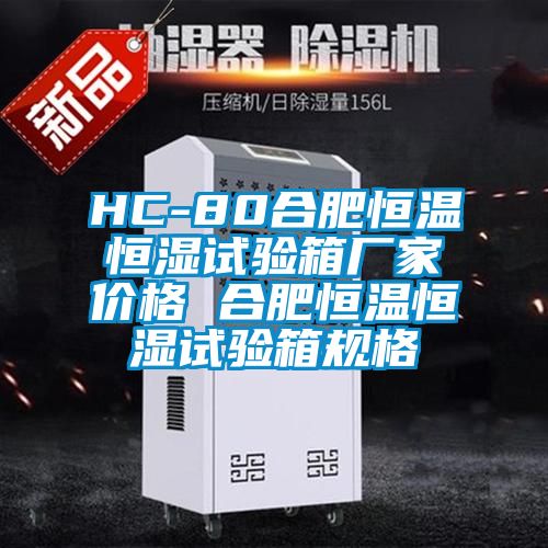 HC-80合肥恒温恒湿试验箱厂家价格 合肥恒温恒湿试验箱规格