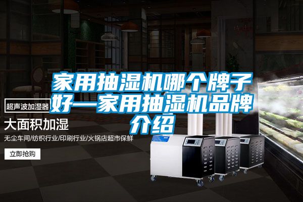 家用抽湿机哪个牌子好—家用抽湿机品牌介绍