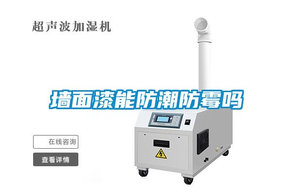 墙面漆能防潮防霉吗