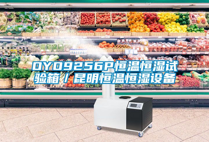 OYO9256P恒温恒湿试验箱／昆明恒温恒湿设备