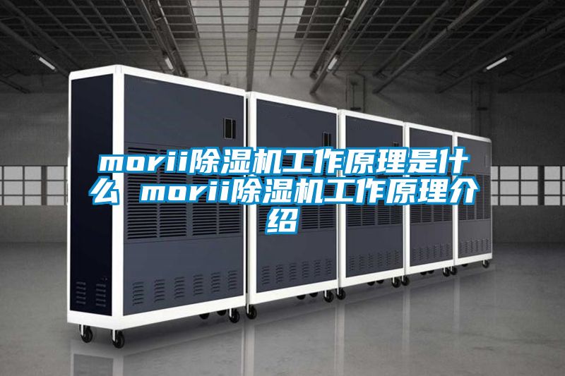 morii除湿机工作原理是什么 morii除湿机工作原理介绍