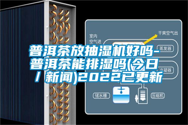 普洱茶放抽湿机好吗-普洱茶能排湿吗(今日／新闻)2022已更新