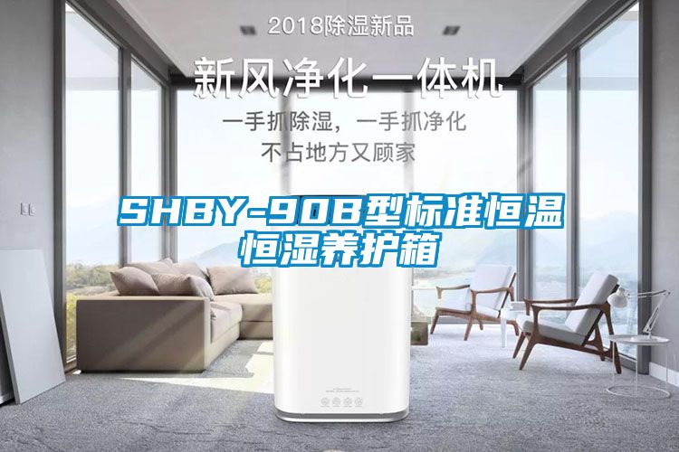 SHBY-90B型标准恒温恒湿养护箱