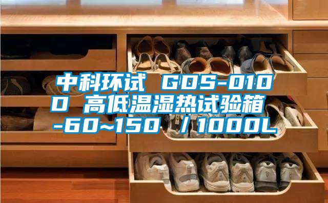 中科环试 GDS-010D 高低温湿热试验箱 -60~150℃／1000L